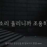 달보이스