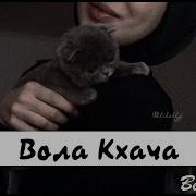 Мадина Аслаханова Вола Кхача Красивая Песня