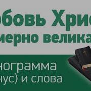 Любовь Христа Безмерно Велика Минус