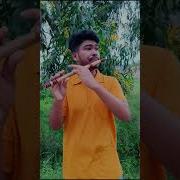 Mohabbatein Flute