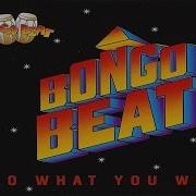 Bongo Beat Do What You Want