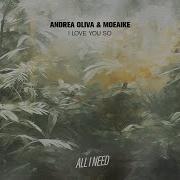 I Love You So Andrea