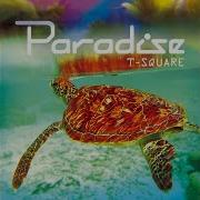 T Square Paradise