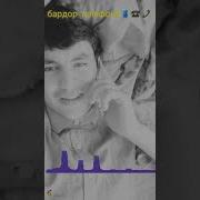 Бардор Телефона