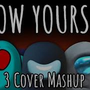 Show Your Lies Mashup B Ver Vardik