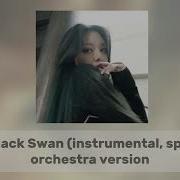 Bts Black Swan Instrumental Speed Up