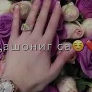 Румиса Никаева Мама Мама Дашониг Са
