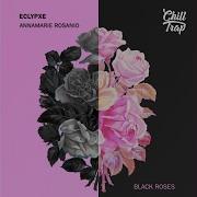 Eclipse Black Roses