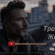 Black Cat Studio Не Тратьте Жизнь