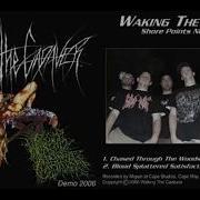 Waking The Cadaver Demo 2006