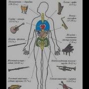 Великая Тайна Музыки И Звука Союз Спасения Землян Тайна Рока Рок И