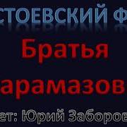 Братья Карамазовы Часть 2 Из 5