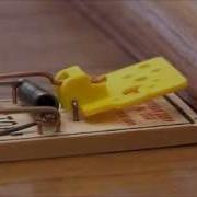 Mousetrap