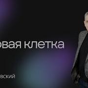 Ее Высочество Орловский