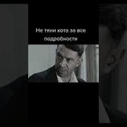 Не Тяни Кота За Все Подробности