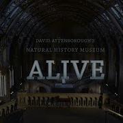 Natural History Museum Alive