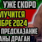 Уже Скоро Что Случится В Ноябре 2024 Новое Предсказание Светланы Драган