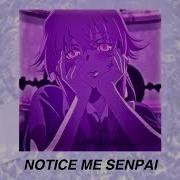 Notice Me Senpai Slowed