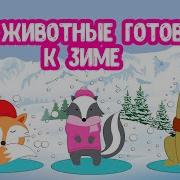 Как Зимуют Животные В Лесу