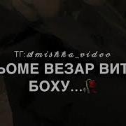 Хьо Везар Вита Бохуш