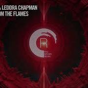 Raz Nitzan Leddra Chapman Phoenix From The Flames