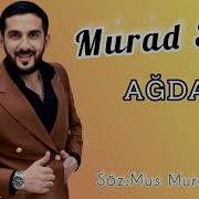 Murad Safi 2023