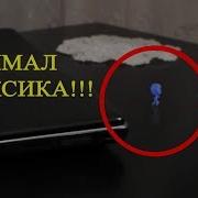 5 Способов Поймать Фиксика