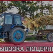 Тракторист Ливиу Тв
