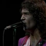 Billy Squier Bryan Adams John Cougar Mell Everybody Wants You