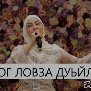 Дог Ловза Дуьйлу