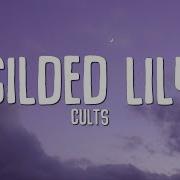 Gilded Lily By Cults Speed Up