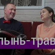 Пташица Полынь Трава