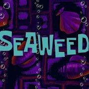 Spongebob Seaweed 2