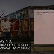 Shanil Alox Perc Capsule Tough Love Callecat Remix