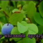 Минус Хуний Сайхан Сэльхэл