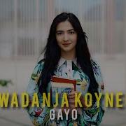 Gayo Owadanja