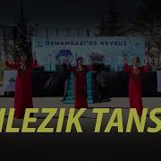 Bilezik Tansy