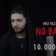 Dəli Yazar Nə Badə