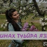 Вайшинахь Туьйра Яздехьа Зажигательная Песня