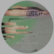 Phatty От Anton Kuertz