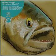 Monkey Fish Everyday Fish Trockensaft Remix