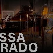 Bossa Dorado Joscho Stephan Feat Jacques Ammon Arte Concert