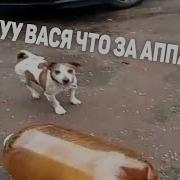 Уу Вася Что За Аппарат