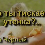 Что Ты Тискаешь Утёнка Mp3