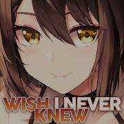 Nightcore Wish I Never Knew Lyrics