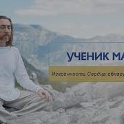 Искренности Lxst