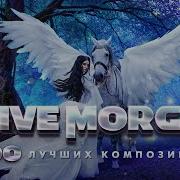 Стив Морган 100 Лучших Композиций