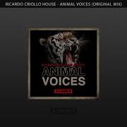 Voice Original Mix Ricardo Criollo House