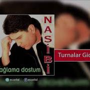 Nasibi Ağlama Dostum