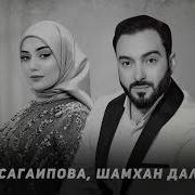 Шамхан Далдаев Безам